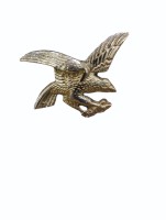 Seat Buckle eagle