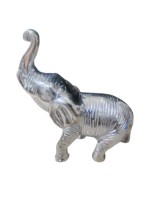 Elephant C P